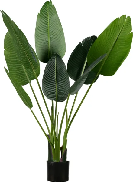 Strelitzia, Konstgjord växt, grön, H108x61x50 cm