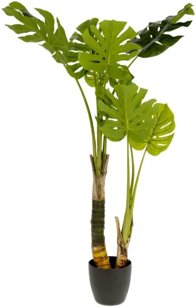 Monstera, Konstgjord växt, grön/svart, H130x60x60 cm